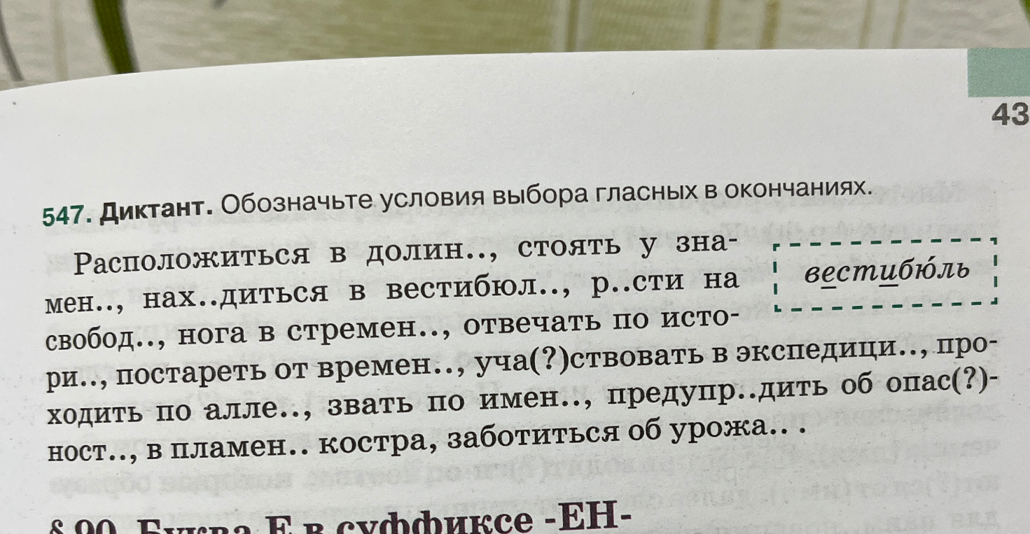 547. Диктант. Обозначьте условия выбора гласных в окончаниях.