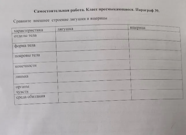 Сравните внешнее строение лягушки и ящерицы