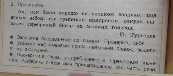 Запишите предложение по памяти. Укажите над именами прилагательными падеж, выделите их окончания. Подчеркните слова, употреблённые в переносном значении. Разберите любое имя прилагательное как часть речи.