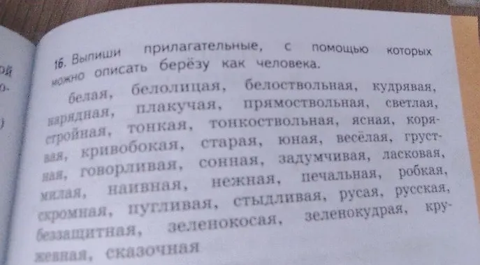 Выпиши прилагательные, с помощью которых можно описать берёзу как человека.