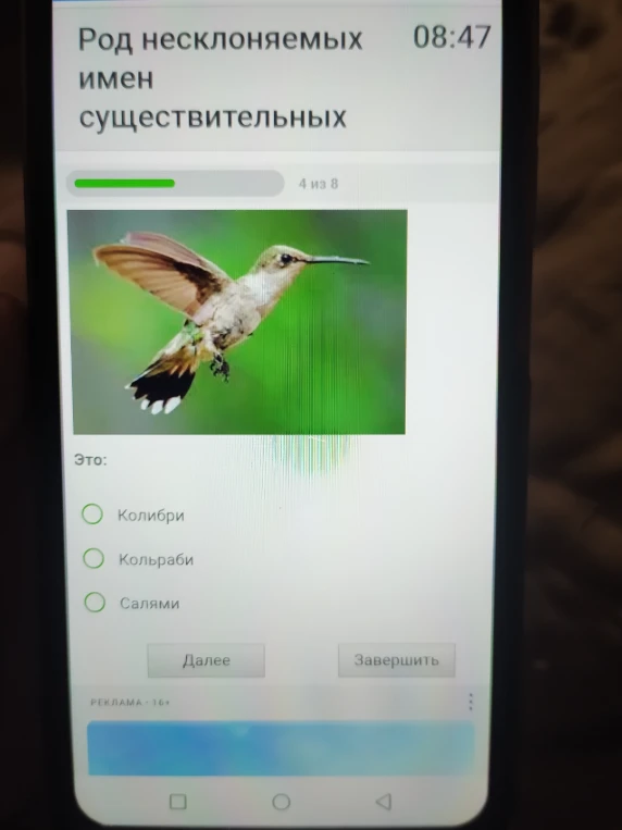 Определите, что изображено на картинке: Колибри, Кольраби или Салями.