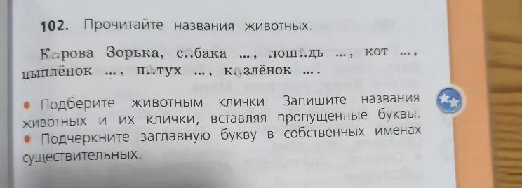 Подберите животным клички. Запишите названия животных и их клички, вставляя пропущенные буквы. Подчеркните заглавную букву в собственных именах существительных.