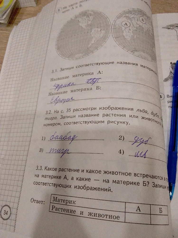 Какое растение и какое животное встречаются в природе на материке А, а какие — на материке Б? Запиши номера соответствующих изображений.