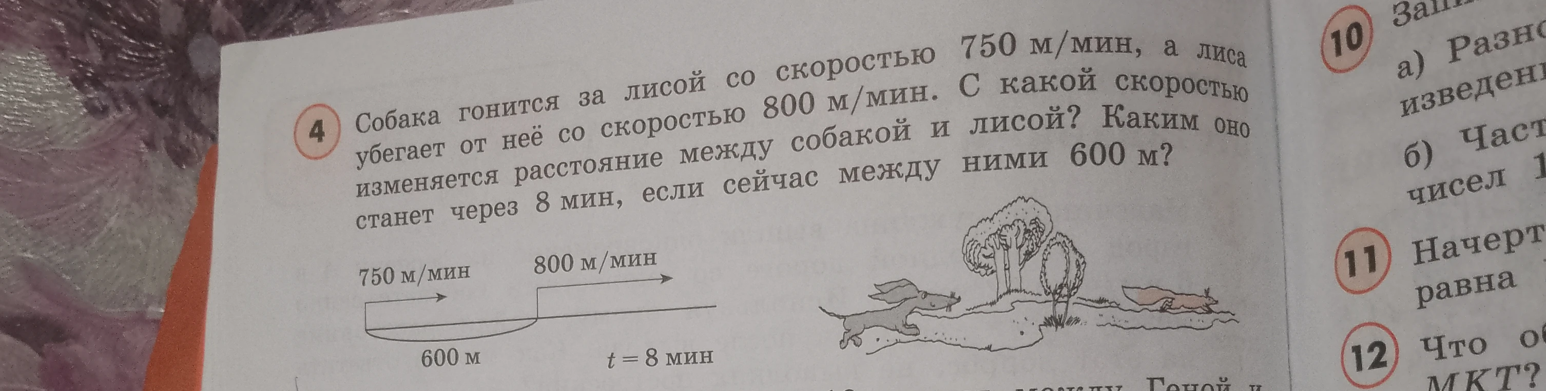 Собака гонится за лисой со скоростью 750 м/мин, а лиса убегает от неё со скоростью 800 м/мин. С какой скоростью изменяется расстояние между собакой и лисой? Каким оно станет через 8 мин, если сейчас между ними 600 м?