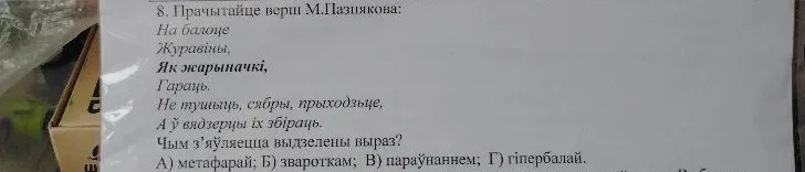 Чым з'яўляецца выдзелены выраз «Як жарыначкі»?