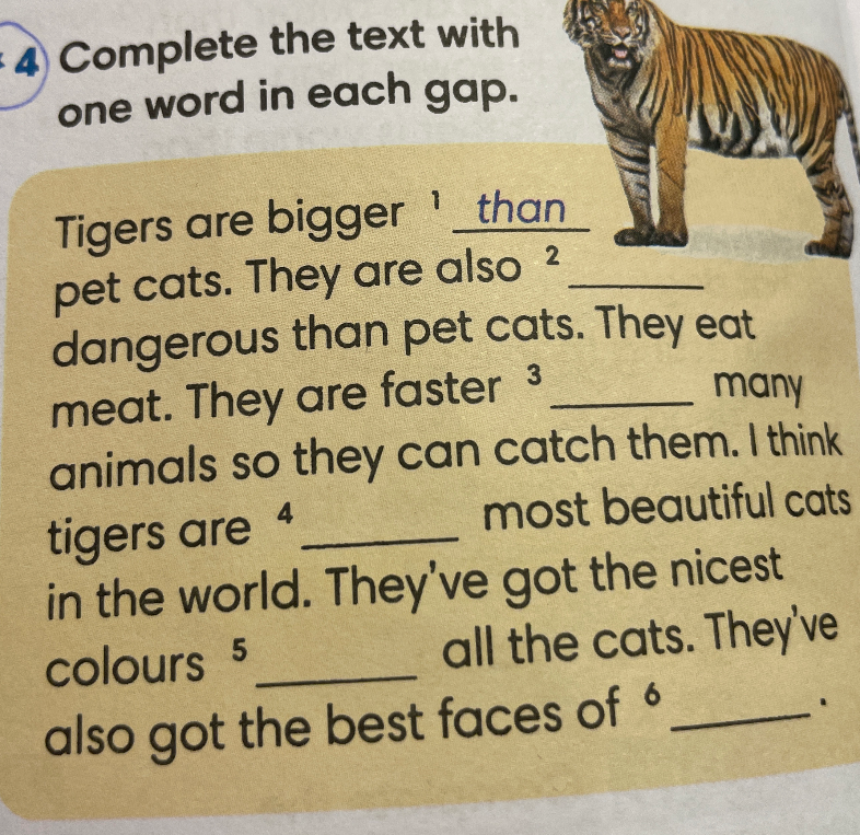 Complete the text with one word in each gap. Tigers are bigger than pet cats...