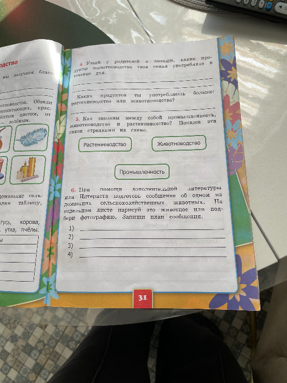 Как связаны между собой промышленность, животноводство и растениеводство? Покажи эти связи стрелками на схеме. Запиши план сообщения.