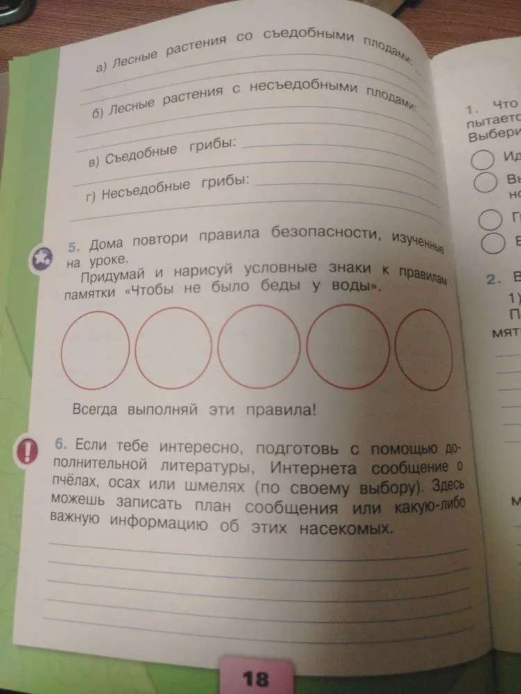 а) Лесные растения со съедобными плодами; б) Лесные растения с несъедобными плодами; в) Съедобные грибы; г) Несъедобные грибы. 5. Дома повтори правила безопасности, изученные на уроке. Придумай и нарисуй условные знаки к правилам памятки «Чтобы не было беды у воды». 6. Если тебе интересно, подготовь с помощью дополнительной литературы, Интернета сообщение о пчёлах, осах или шмелях (по своему выбору).