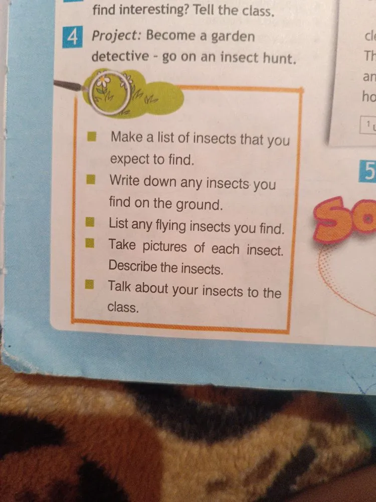 Project: Become a garden detective - go on an insect hunt.