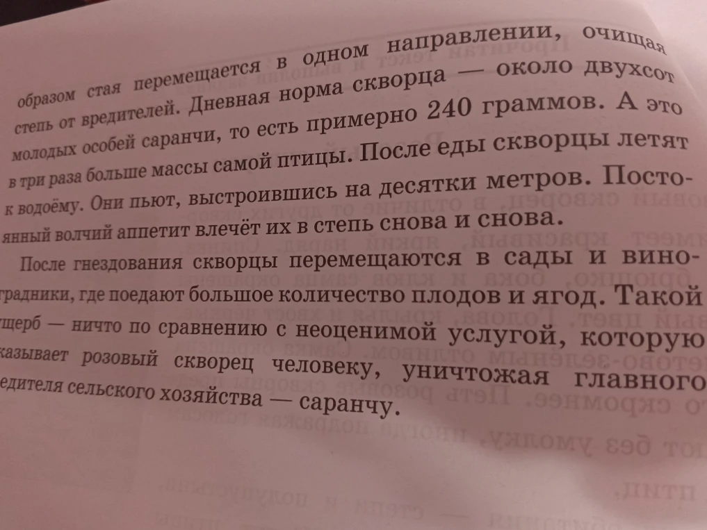 Найти массу птицы, если её дневная норма пищи составляет 240 граммов, что в три раза больше массы самой птицы.