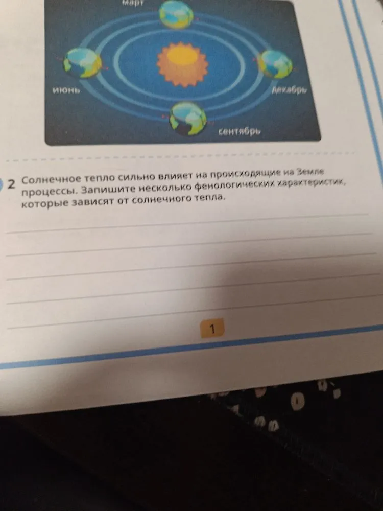 Запишите несколько фенологических характеристик, которые зависят от солнечного тепла.