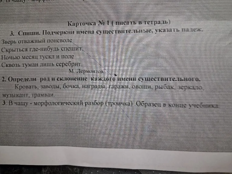 Спиши. Подчеркни имена существительные, указать падеж. Определи род и склонение каждого имени существительного. В чащу - морфологический разбор.