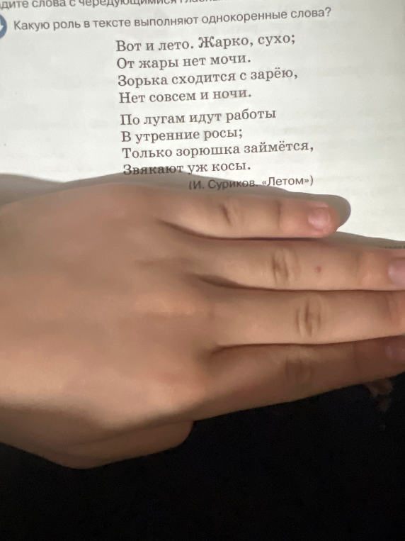 Какую роль в тексте выполняют однокоренные слова?