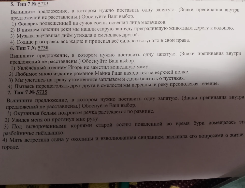 Выпишите предложение, в котором нужно поставить одну запятую. Обоснуйте Ваш выбор.