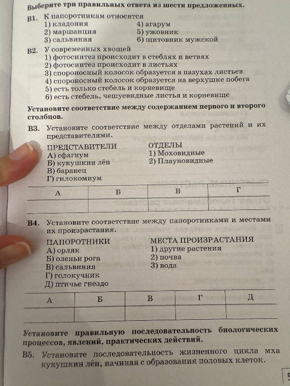 Выберите три правильных ответа из шести предложенных. В1. К папоротникам относятся... В2. У современных хвощей... В3. Установите соответствие между отделами растений и их представителями... В4. Установите соответствие между папоротниками и местами их произрастания.