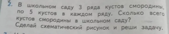В школьном саду 3 ряда кустов смородины, по 5 кустов в каждом ряду. Сколько всего кустов смородины в школьном саду?