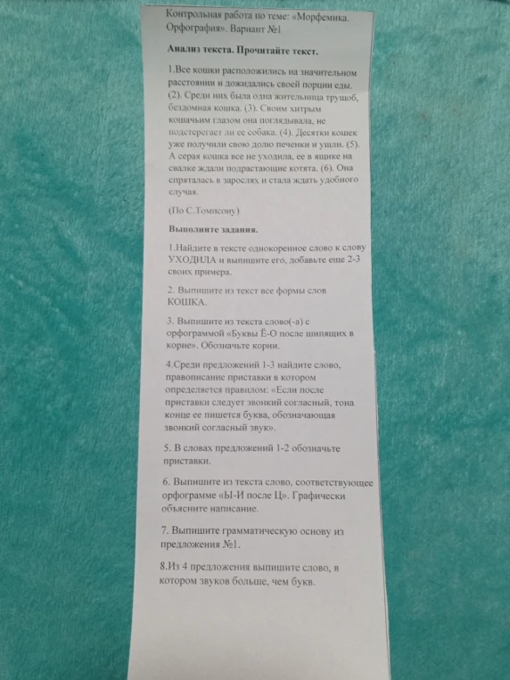 Выполните задания к тексту: 1. Найдите в тексте однокоренное слово к слову УХОДИЛА... 2. Выпишите из текста все формы слов КОШКА...