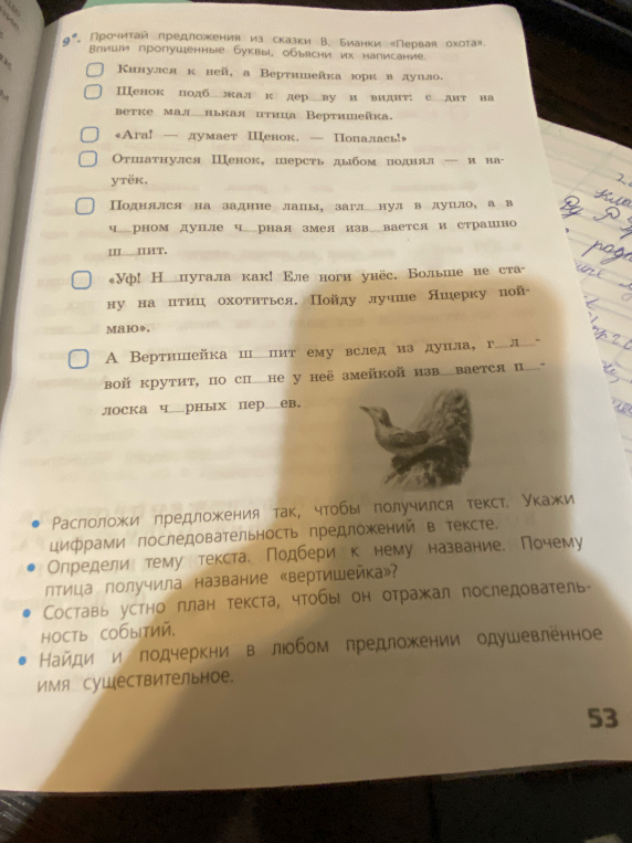 Прочитай предложения из сказки В. Бианки «Первая охота». Впиши пропущенные буквы, объясни их написание. Расположи предложения так, чтобы получился текст.