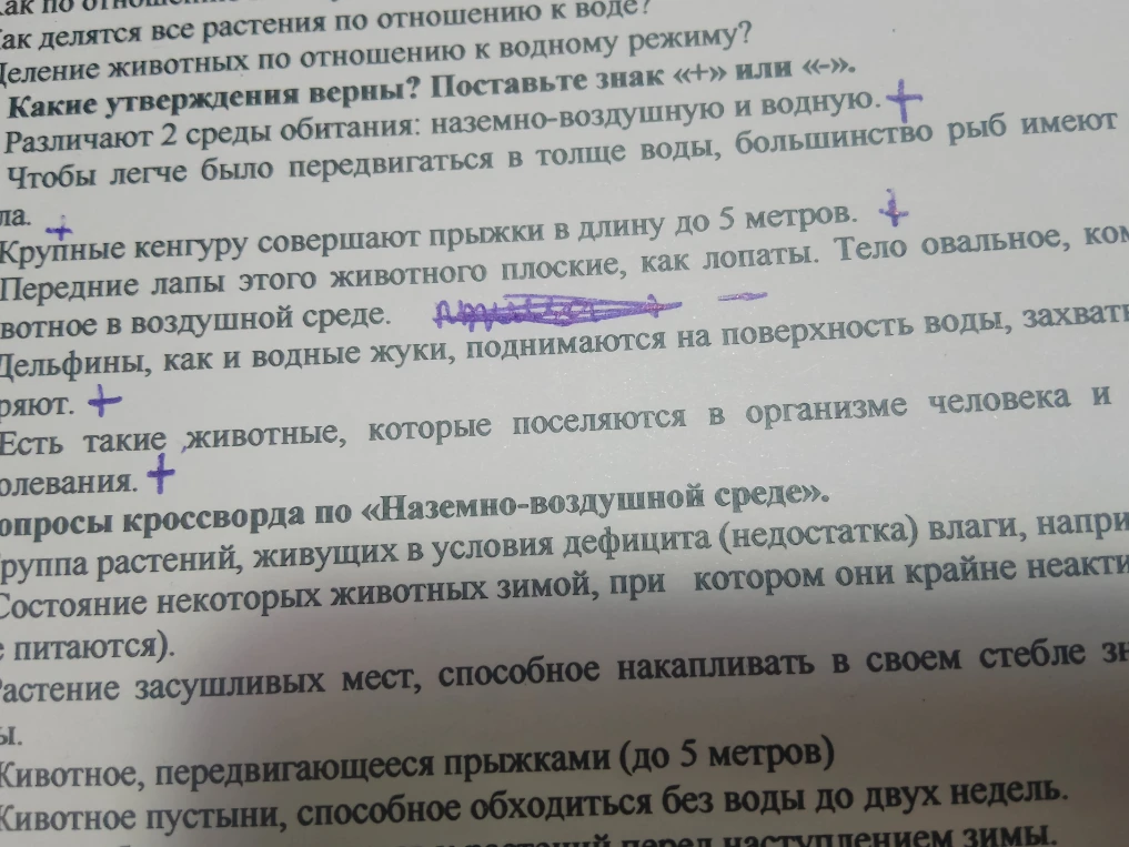 Какие утверждения верны? Поставьте знак «+» или «-».