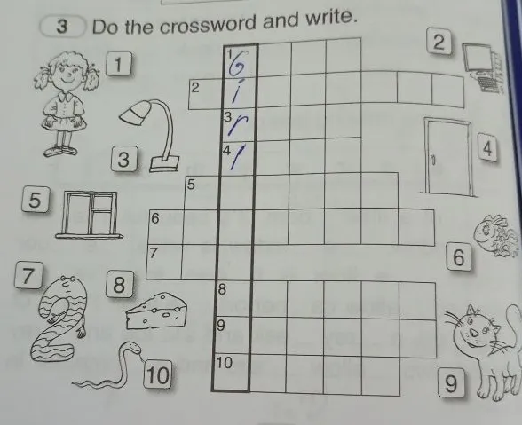 Do the crossword and write.