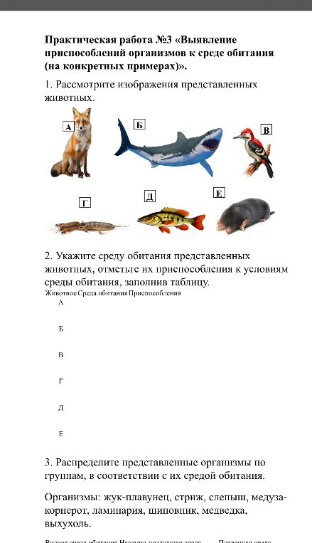 Укажите среду обитания представленных животных, отметьте их приспособления к условиям среды обитания, заполнив таблицу.