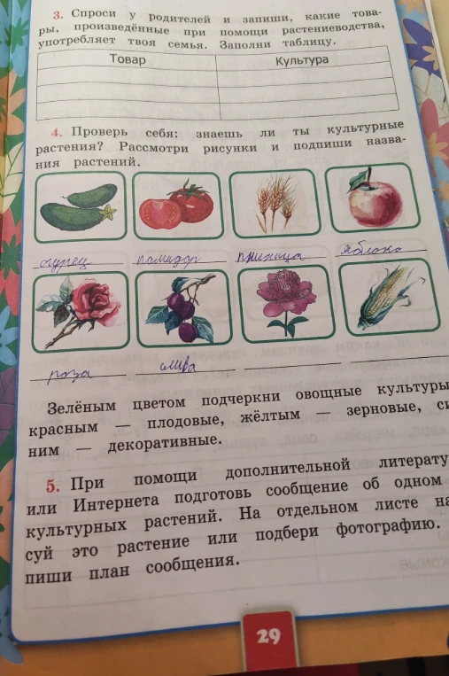 Проверь себя: знаешь ли ты культурные растения? Рассмотри рисунки и подпиши названия растений.