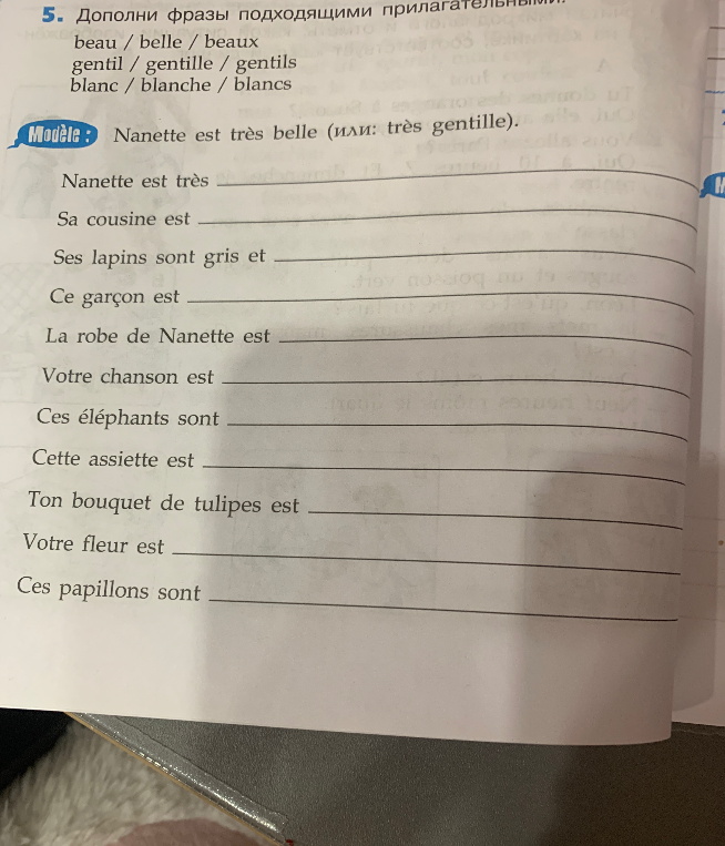 Дополни фразы подходящими прилагательными: beau / belle / beaux; gentil / gentille / gentils; blanc / blanche / blancs