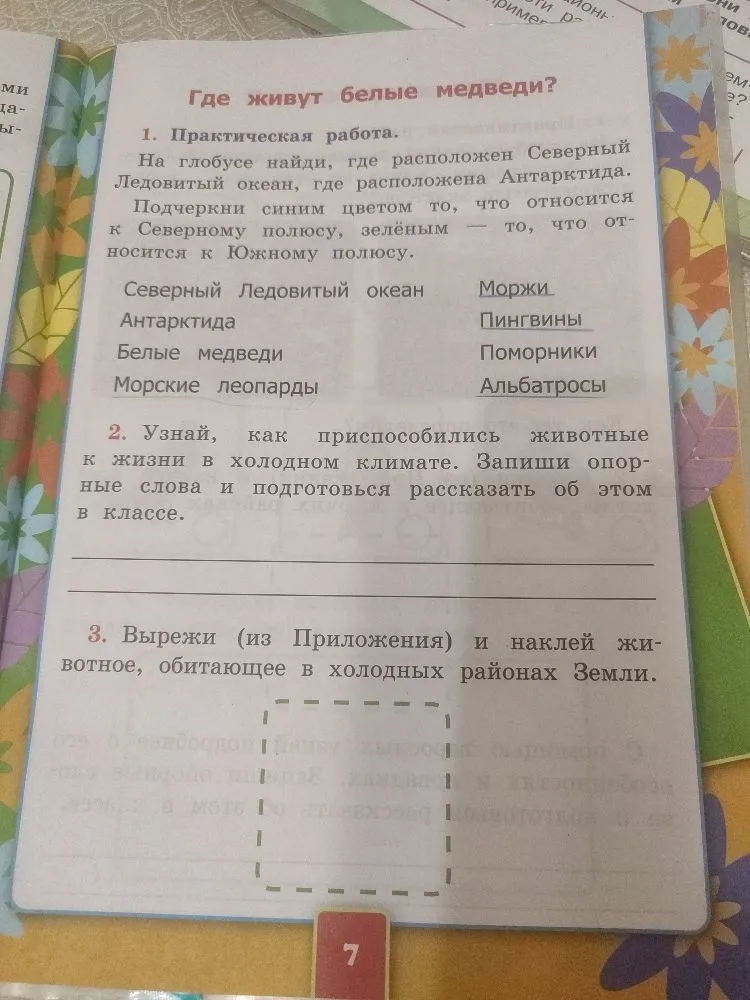 Где живут белые медведи? 1. Практическая работа. Подчеркни синим цветом то, что относится к Северному полюсу, зелёным — то, что относится к Южному полюсу.