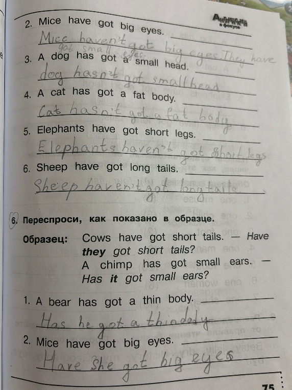 Переспроси, как показано в образце. 1. A bear has got a thin body. 2. Mice have got big eyes.