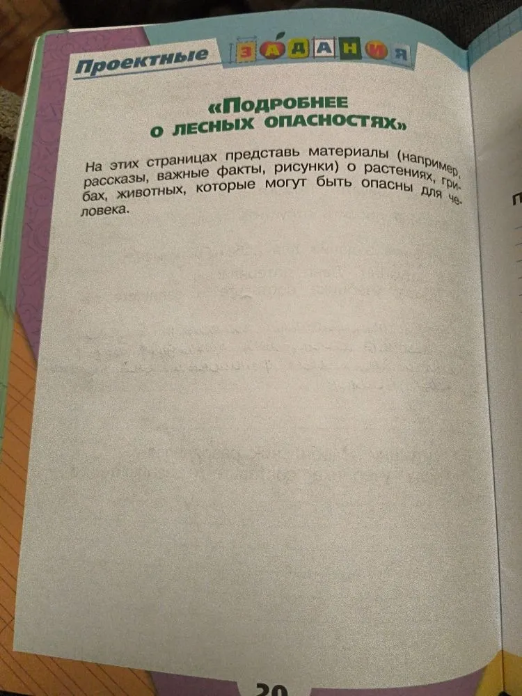 На этих страницах представь материалы о растениях, грибах, животных, которые могут быть опасны для человека.