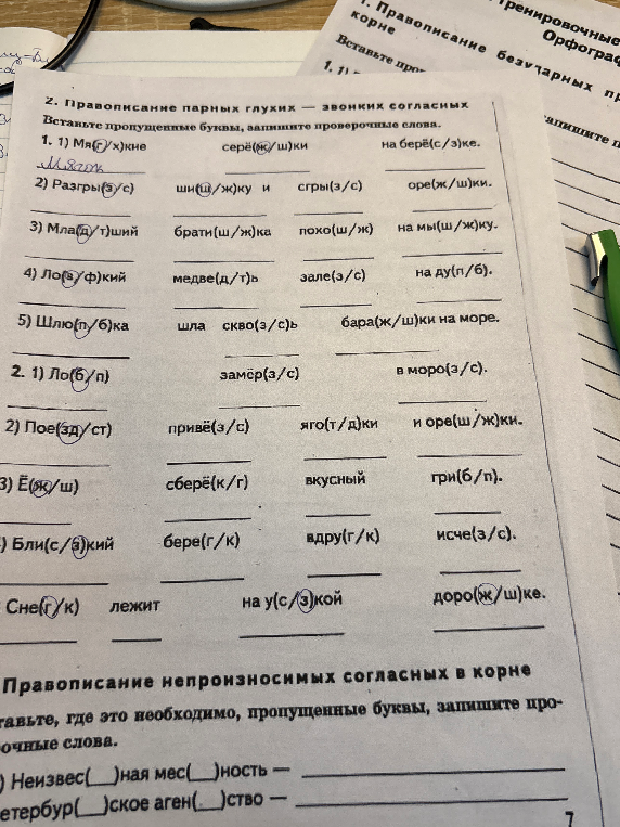Вставьте пропущенные буквы, запишите проверочные слова. 2. Правописание парных глухих — звонких согласных.