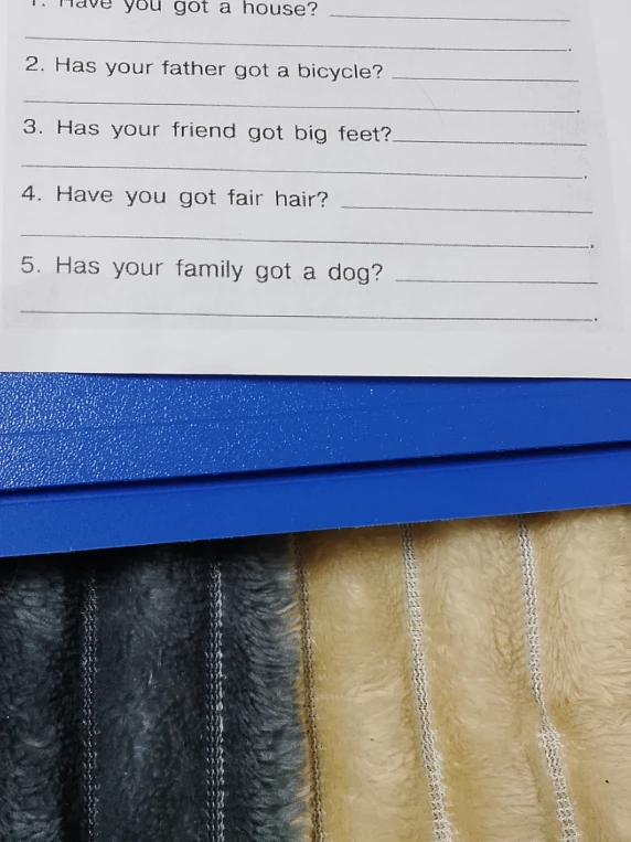 Ответьте на вопросы: 1. Have you got a house? 2. Has your father got a bicycle? 3. Has your friend got big feet? 4. Have you got fair hair? 5. Has your family got a dog?