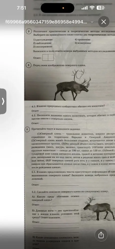Выберите из приведённого ниже списка два теоретических метода исследования. В каких природных сообществах обитает это животное? Прочитайте текст и выполните задания.