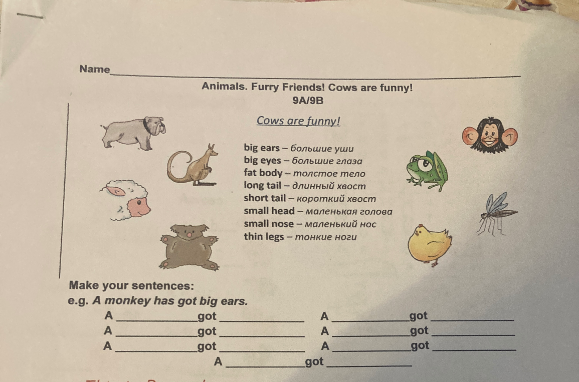 Make your sentences: e.g. A monkey has got big ears.