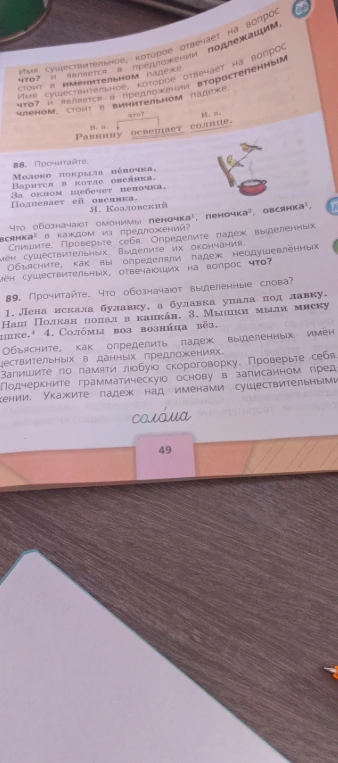 88. Прочитайте. Молоко покрыла пеночка... 89. Прочитайте. Что обозначают выделенные слова? 1. Лена искала булавку, а булавка упала под лавку.
