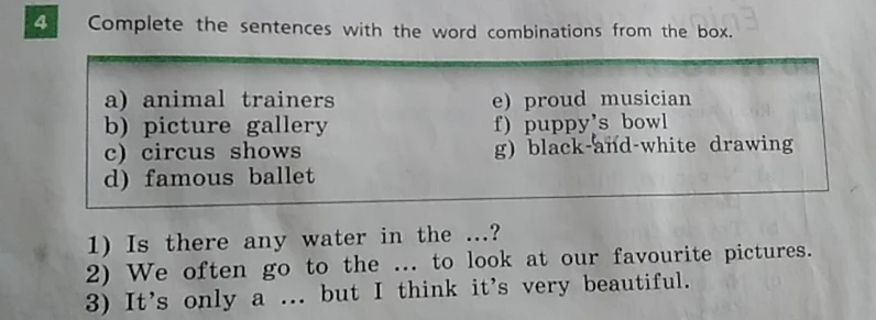 Complete the sentences with the word combinations from the box.
