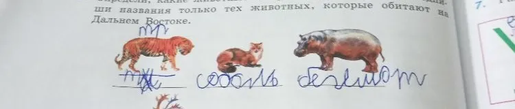 Напиши названия только тех животных, которые обитают на Дальнем Востоке.