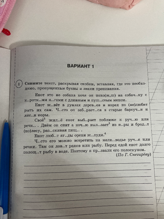 Спишите текст, раскрывая скобки, вставляя, где это необходимо, пропущенные буквы и знаки препинания.