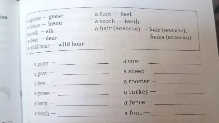 Напишите формы множественного числа для существительных: a pony, a goat, a hen, a goose, a barn, a tooth, a cow, a sheep, a rooster, a turkey, a fence, a foot.