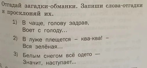Отгадай загадки-обманки. Запиши слова-отгадки и просклоняй их.