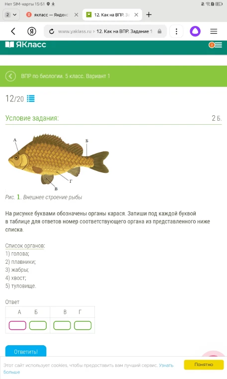 На рисунке буквами обозначены органы карася. Запиши под каждой буквой в таблице для ответов номер соответствующего органа из представленного ниже списка.