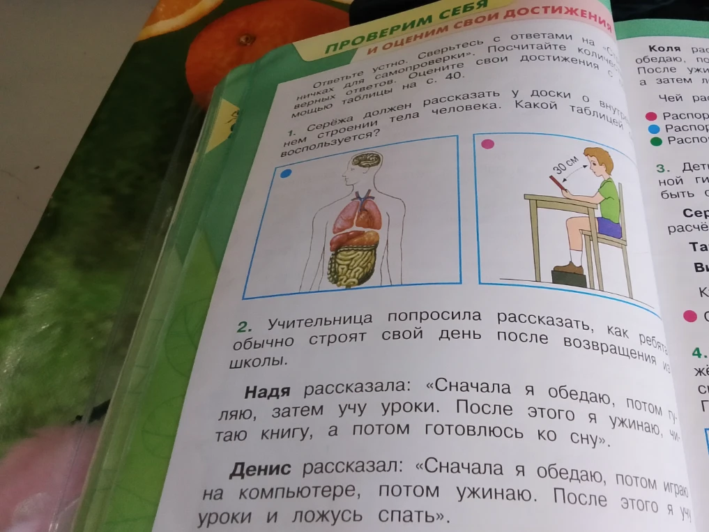 Серёжа должен рассказать у доски о внутреннем строении тела человека. Какой таблицей воспользуется?