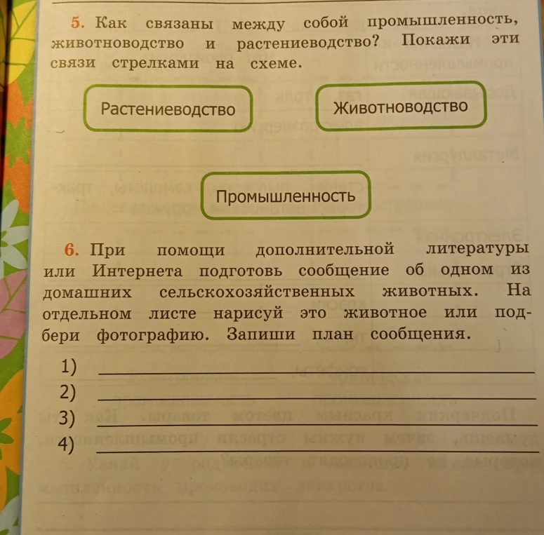 Как связаны между собой промышленность, животноводство и растениеводство? Покажи эти связи стрелками на схеме. Подготовь план сообщения об одном из домашних сельскохозяйственных животных.