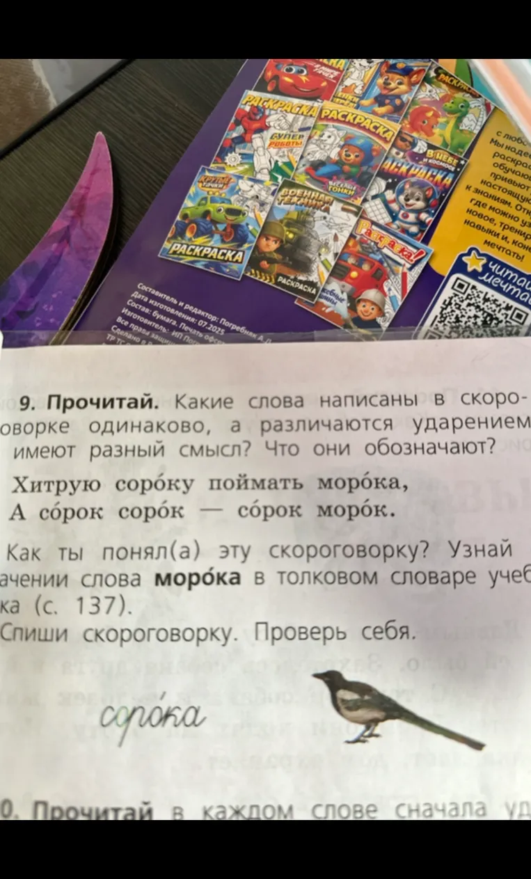Какие слова написаны в скороговорке одинаково, а различаются ударением и имеют разный смысл?