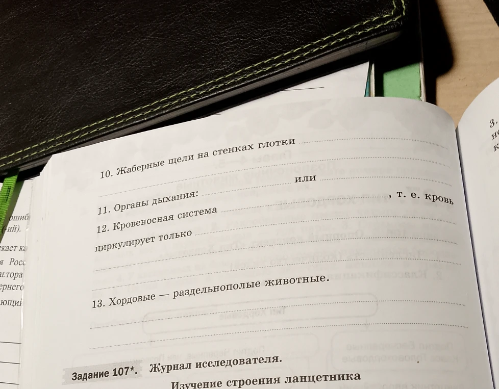 Заполните пропуски в предложениях о строении хордовых (на примере ланцетника): жаберные щели, органы дыхания, кровеносная система.