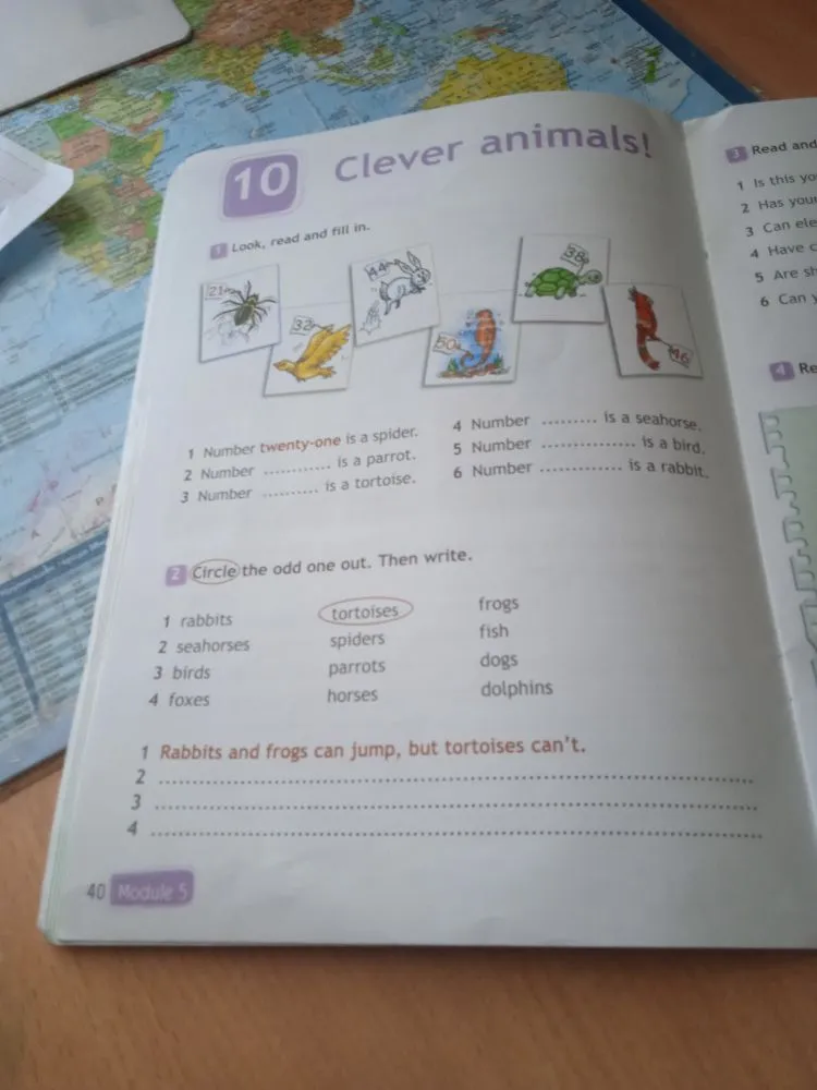 1 Look, read and fill in. 2 Circle the odd one out. Then write.