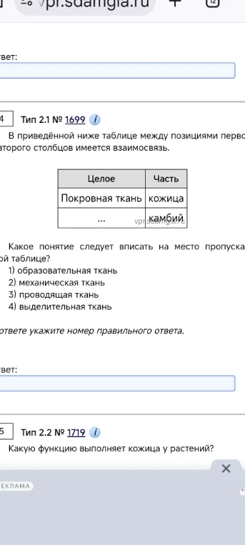 В приведённой ниже таблице между позициями первого и второго столбцов имеется взаимосвязь. Какое понятие следует вписать на место пропуска в таблице? Какую функцию выполняет кожица у растений?