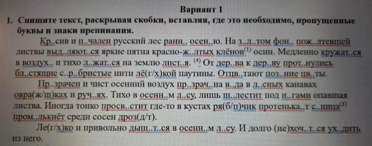 Спишите текст, раскрывая скобки, вставляя, где это необходимо, пропущенные буквы и знаки препинания.
