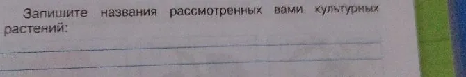 Запишите названия рассмотренных вами культурных растений