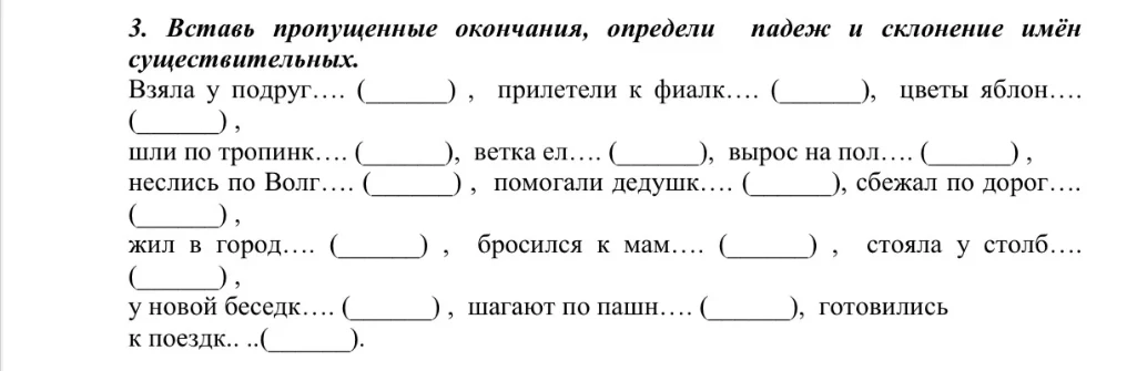 Вставь пропущенные окончания, определи падеж и склонение имён существительных.